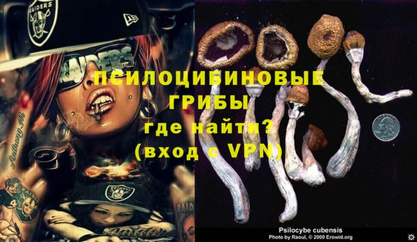 не бодяженный Дмитровск