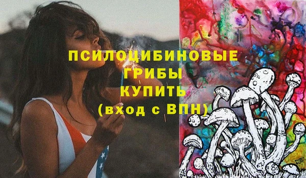не бодяженный Дмитровск