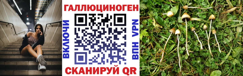 гидра как войти  Лакинск  Галлюциногенные грибы ЛСД 